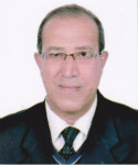 Prof. Tarek Aly Elsayed