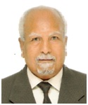 Prof. Omar Hanafy Abdalla
