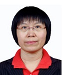 Prof. Ping Zheng